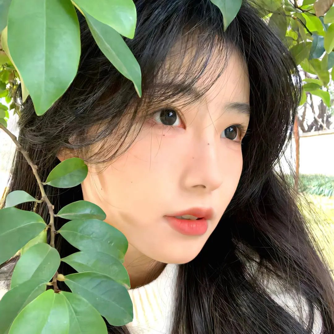 爱情青春